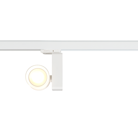 Reflektor Ojo 25W 2700/4000K Biały 3 Obwodowy Milagro ML1106