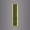 Lampa sufitowa prostokątna naturalny mech GREEN KNUT Just Light 15623-66 