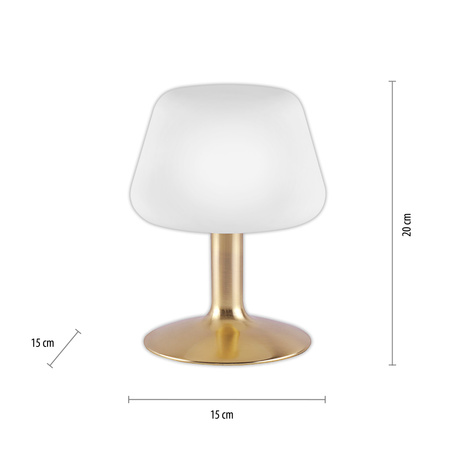 LAMPA STOŁOWA MATOWY MOSIĄDZ 1xG9 TILL Paul Neuhaus 4078-60 na dotyk