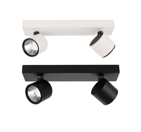 Lampa oprawa sufitowa BONIVA WHITE Italux SPL-2854-2B-WH