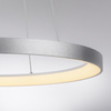 Lampa wisząca okrąg w kolorze aluminium 57cm LED 3000K HOOP Paul Neuhaus 2851-95 