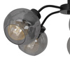 Lampa sufitowa SOFIA SMOKED 5xE27 Milagro MLP6597
