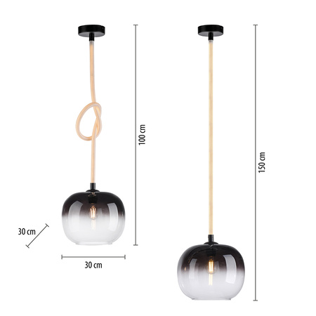 Lampa wisząca pojedyńcza szklany klosz i świecący przewód LUMA Paul Neuhaus  2410-18