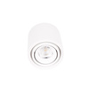 Biała tuba sufitowa natynowa o średnicy 7cm LED 3000K IP44 Maxlight C0256 Fix