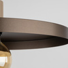 SILA SABIA BROWN 1XE27 LAMPA WISZĄCA 400 TK Lighting 10758