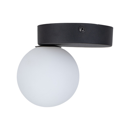Lampa sufitowa BIANCA BLACK TK Lighting 5681