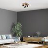 Lampa sufitowa TORAS Rabalux 73124