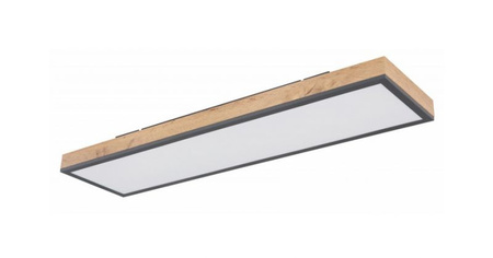 Lampa sufitowa DORO LED Globo 416080WD4