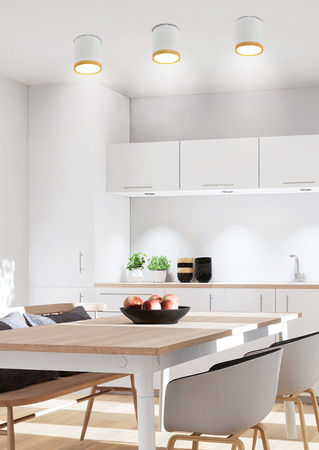 LAMPA SUFITOWA TUBA 5W LED 4000K DREWNIANY+BIAŁY ŚR. 6,8 CM Candellux 2273624