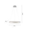 Lampa wisząca biały ring 60cm TITUS LED 3000K Paul Neuhaus 2382-16
