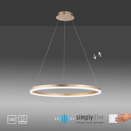 LAMPA WISZĄCA MOSIĄDZ o średnicy 80cm Paul Neuhaus TITUS 2383-60 