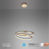 Lampa wisząca ROMAN 55cm LED Paul Neuhaus 2472-12 ze ściemniaczem