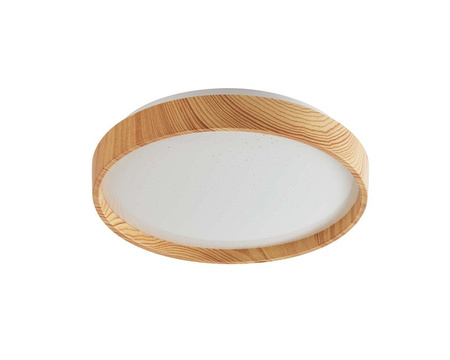 Lampa sufitowa plafon 26cm LEANA LED Rabalux 6579