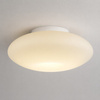 Lampa sufitowa szklana 32cm Robin 11W LED 3000K Milagro ML2806