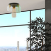 Lampa sufitowa MARCO GREEN TK Lighting 3318