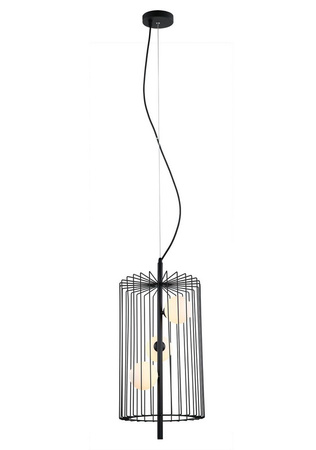 Lampa wisząca HAYDEN Italux MDM-3935/3 BK