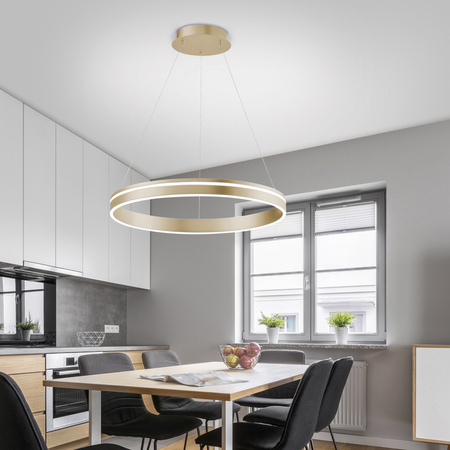 Lampa wisząca ring 59cm w kolorze mosiądzu sterowana pilotem lub smartfonem Q-VITO Paul Neuhaus 8411-60