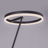 Lampa podłogowa TITUS LED Paul Neuhaus 381-13 ze ściemniaczem