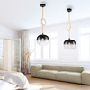 Lampa wisząca pojedyńcza szklany klosz i świecący przewód LUMA Paul Neuhaus  2410-18