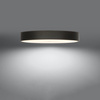 Lampa sufitowa SKALA 100 Sollux Lighting  2BM SL.0817 SL.0818 - kolor do wyboru