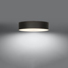 Lampa sufitowa SKALA 50 Sollux Lighting  2BM SL.0761 SL.0762 - kolor do wyboru