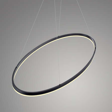 Lampa wisząca antracytowy okrąg 118cm x 56cm TITUS Paul Neuhaus 2393-13 z wbudowanym ściemniaczem