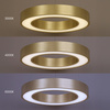 Lampa wisząca złoty okręg Union Gold 40W LED 3000-4000-6000K Milagro ML1867