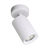 Biały ruchomy spot TORE 1xGU10 Zuma Line TLS006-WH