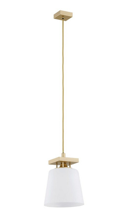 Lampa wisząca ARDEN Argon 8261