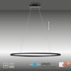 Lampa wisząca antracytowy okrąg 118cm x 56cm TITUS Paul Neuhaus 2393-13 z wbudowanym ściemniaczem