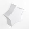 STAR GRAY LAMPA SUFITOWA 2 TK Lighting 6972
