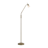 Lampa podłogowa z wyginanym ramieniem w kolorze mosiężnym PINO Paul Neuhaus 400-11 na dotyk
