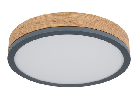 Lampa sufitowa DORO LED 30cm Globo 416080WD1R
