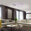 Kinkiet, lampa sufitowa Q-ARKOA sterownie pilotem i aplikacją RGB LED Paul Neuhaus 6154-55