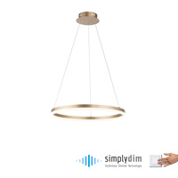 Lampa wisząca okrąg o średnicy 60cm LED 3000K TITUS Mosiadz Paul Neuhaus 2382-60 z wbudowanym ściemniaczem
