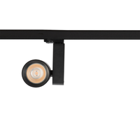 Reflektor Ojo 25W 2700/4000K Czarny 3 Obwodowy Milagro ML1107