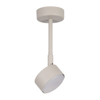 NEMO 1 M plafon szary beż Sigma 40887