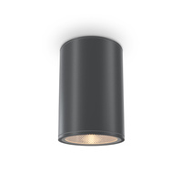 Spot sufitowy zewnętrzny grafitowa tuba IP65 LED Bar O306CL-L12GF Maytoni
