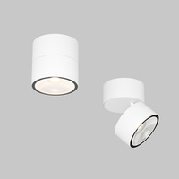 Biały spot zewnętrzny IP54 obrotowy element świetlny LED 3000K Spin O310CL-L5W3K Maytoni