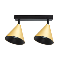 Oprawa Cone Spot Złoty 2xGU10 Milagro ML1121