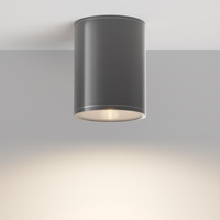 Spot sufitowy zewnętrzny grafitowa tuba IP65 LED 3000K Bar O306CL-L7GF Maytoni