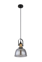 Lampa wisząca DOROTHEA 20cm Globo 15558H