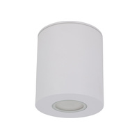 Oprawa sufitowa tuba natynkowa do łazienki ORION M WHITE IP44 1xGU10 Tk Lighting 11186