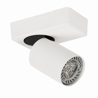 Kinkiet oprawa sufitowa FEDERICA Italux SPL-3001A-1-WH