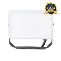 Naświetlacz LED 30W 3000lm 5000K Milagro Eko-Light EKN9015