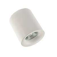 Oprawa sufitowa MANE 20W WHITE 3000K AZzardo AZ4152