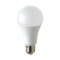 Mocna żarówka LED 15W E27 A60 zimna barwa 6000K Eko-Light EKZA2305