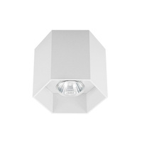 Oprawa POLYGON CL 1 Zuma Line 20035-WH