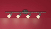 Listwa sufitowa ELEA Paul Neuhaus 6624-48