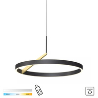 Lampa wisząca MALU LED Zuma Line MD3689-1M-3BGT